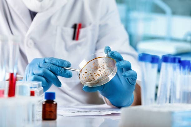 Mold Inspection & Test